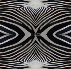 ForboFlotex Vision Image 000402 Zebra фото 1 | FLOORDEALER